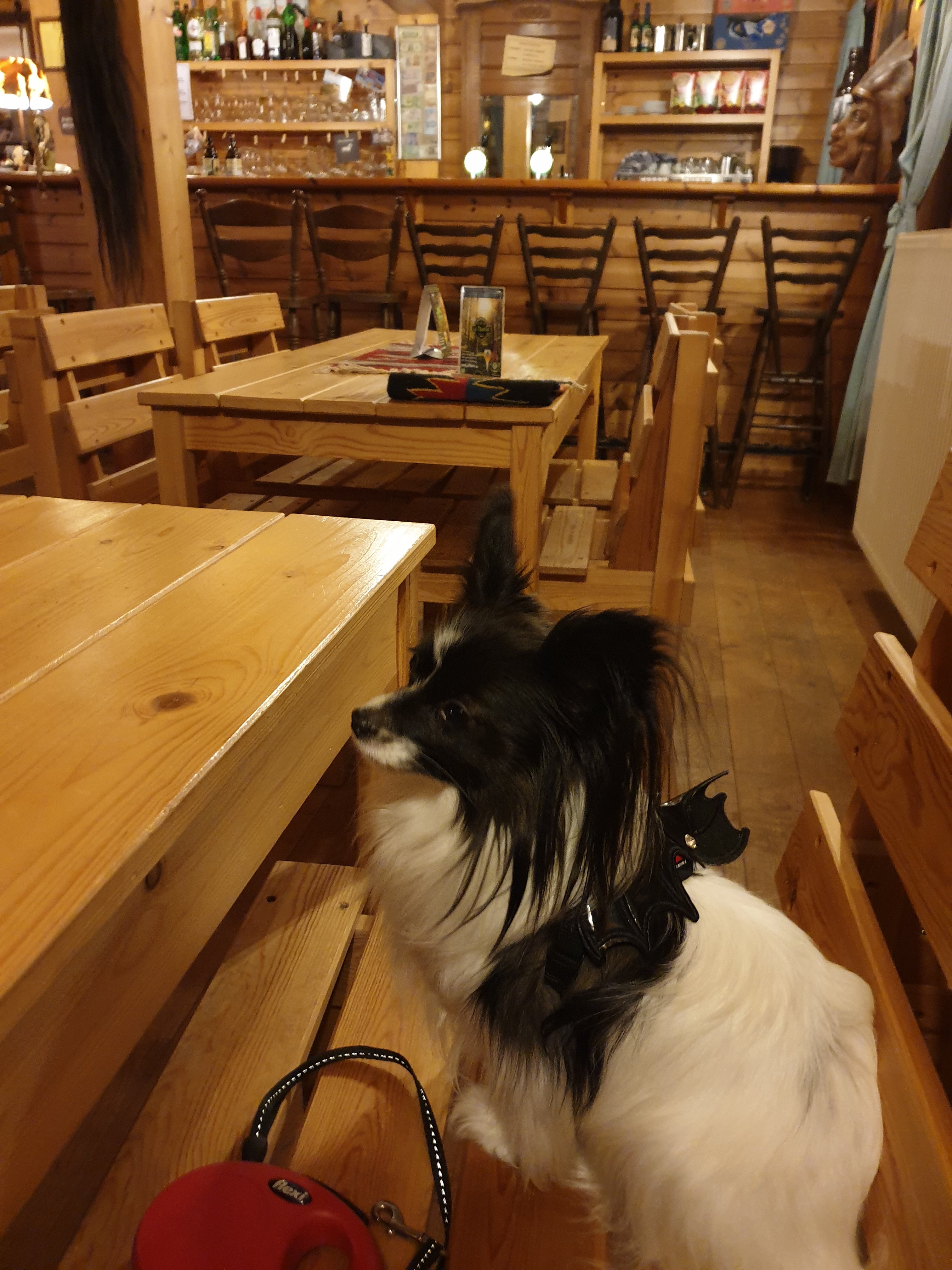 柳树泉源道车站酒店-餐饮