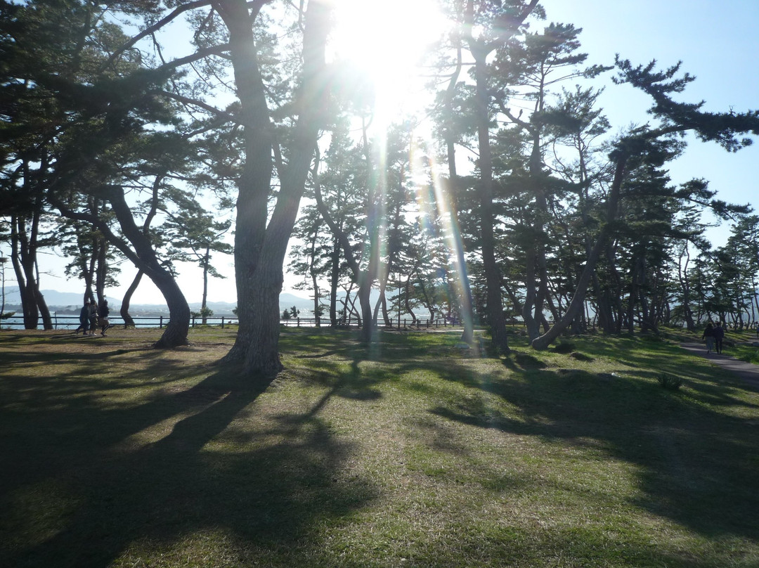 Sanriku Fukko (Reconstruction) National Park-东北部必去景点