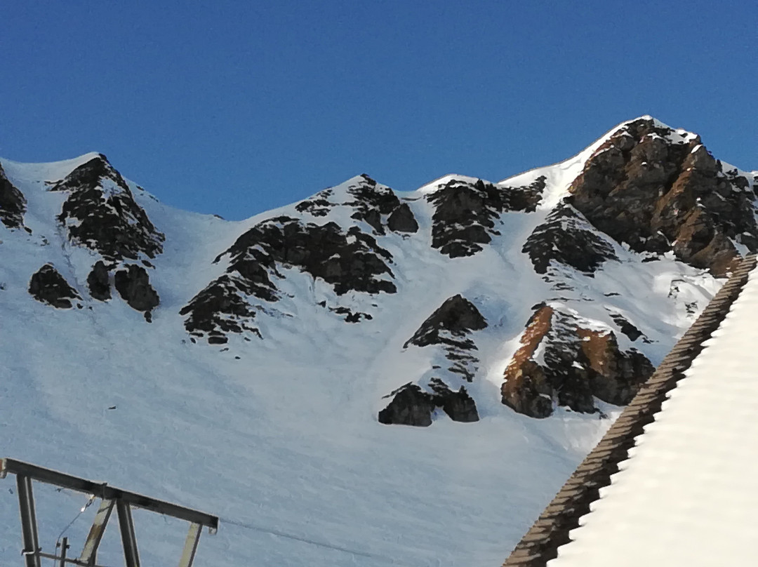 MINT Snowboarding景点图片