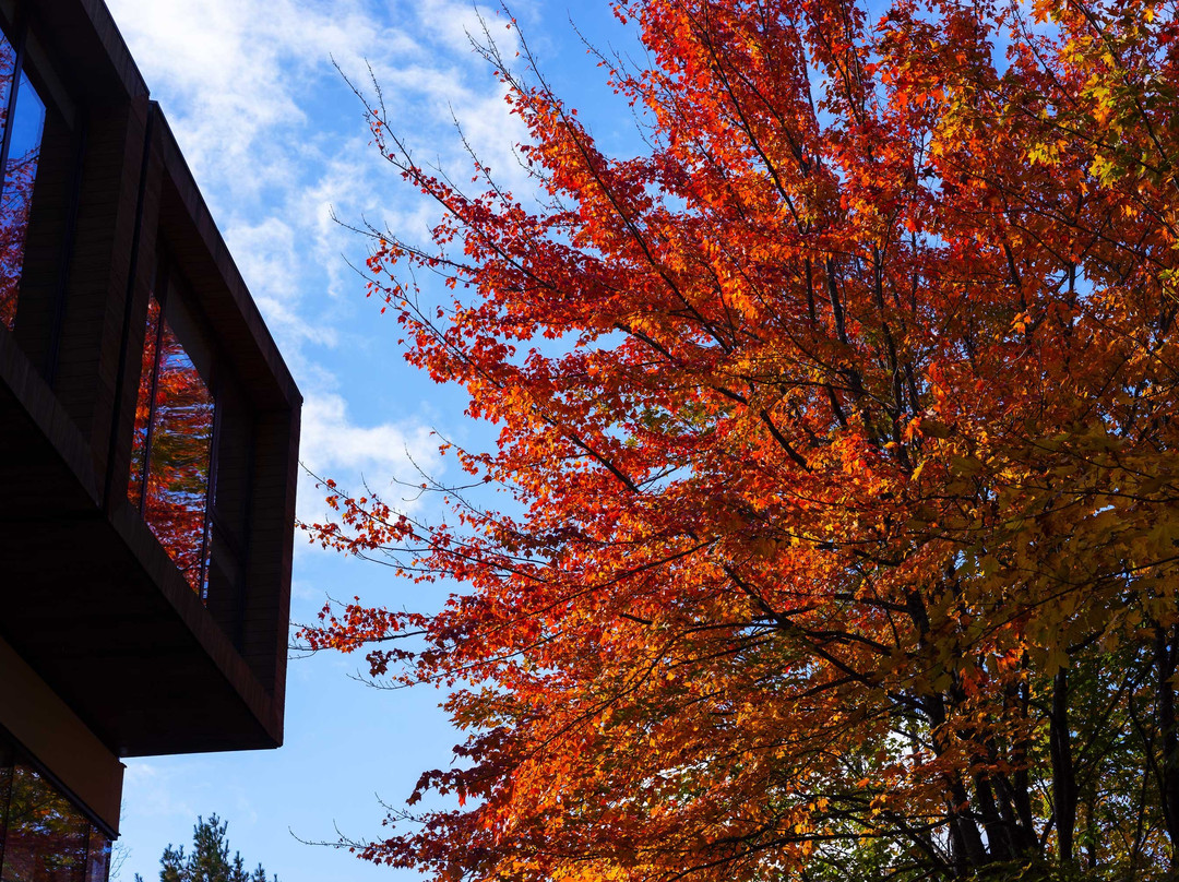 Orford Music-Orford必去景点