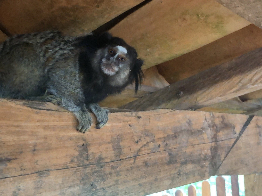 Poço Encantado-Itaete必去景点