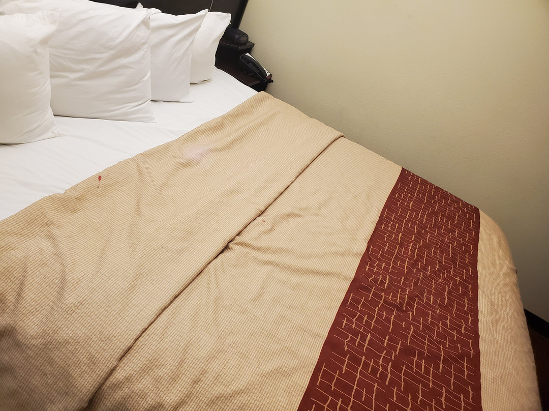 Red Roof Inn & Suites Beaumont