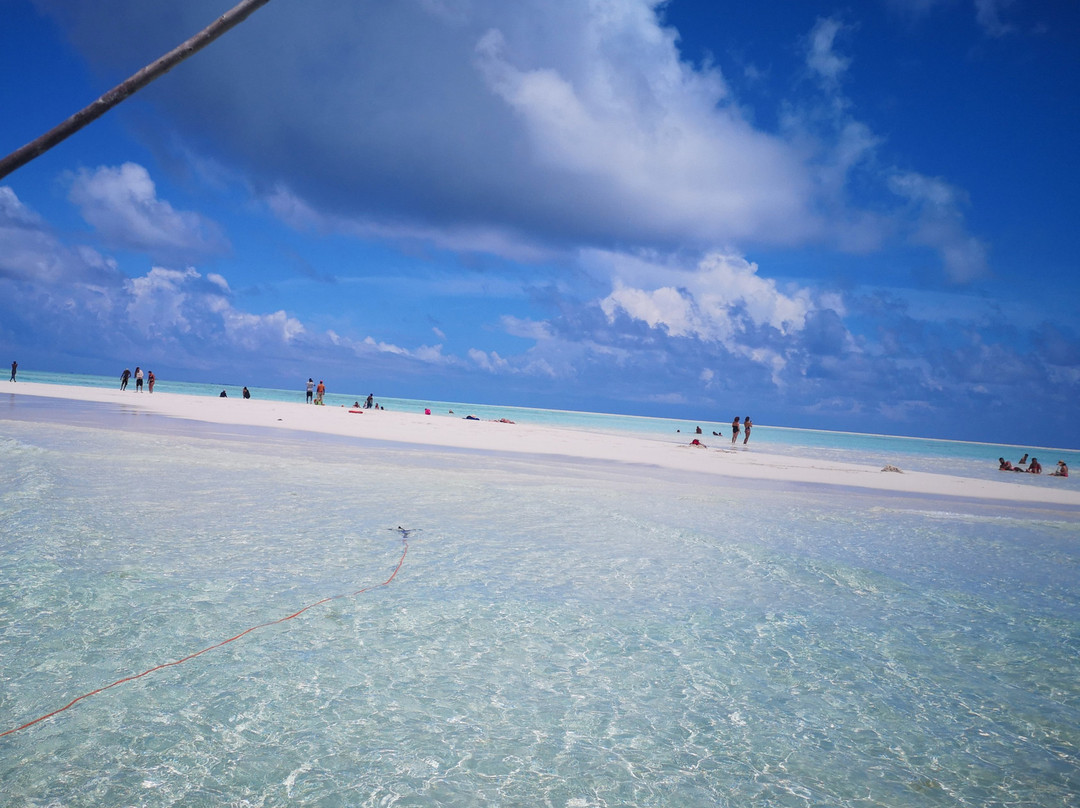 Jalado Taxi & Local Tours-桑给巴尔岛必去景点