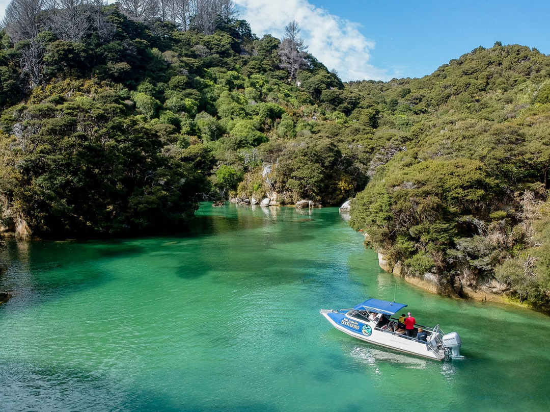 Abel Tasman Eco Tours景点图片