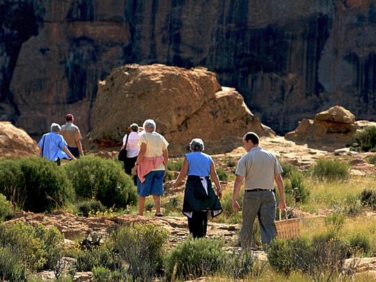 Rural Tours-Lady Grey必去景点