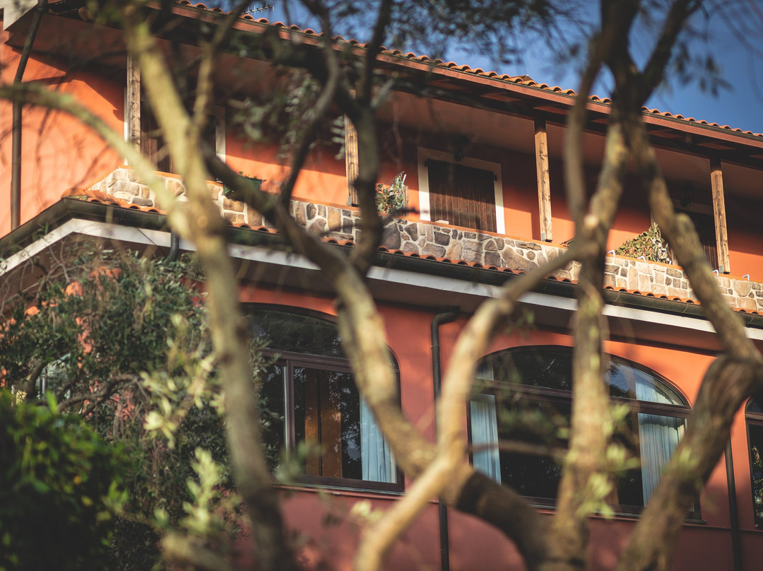 Hotel Villa Paradiso主图