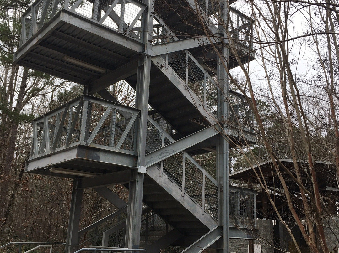 Rock Hawk Effigy and Trails-Eatonton必去景点