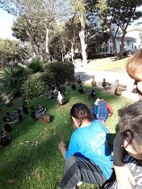 卡马里奥晚安旅馆-家庭/游戏区