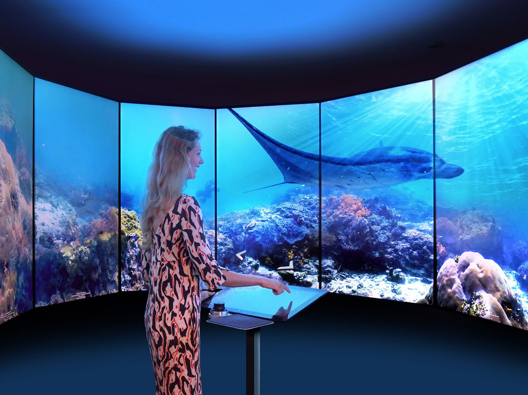 Bermuda Underwater Exploration Institute-汉密尔顿必去景点