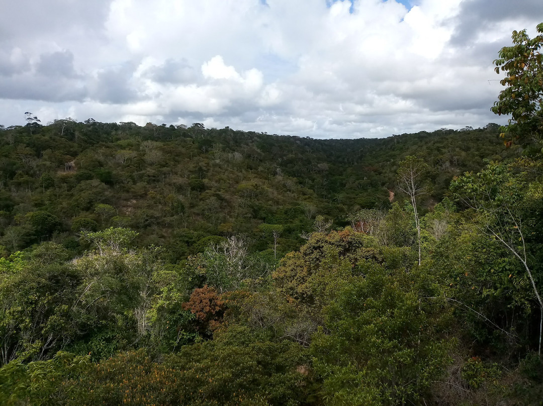 Parque Nacional do Pau Brasil景点图片