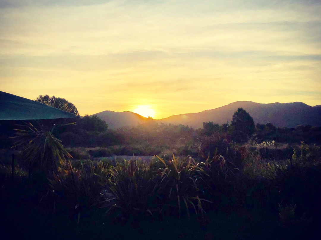 At The Tongariro Riverside B&B主图