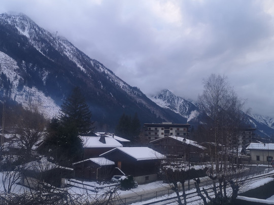 Fleur des Neiges主图