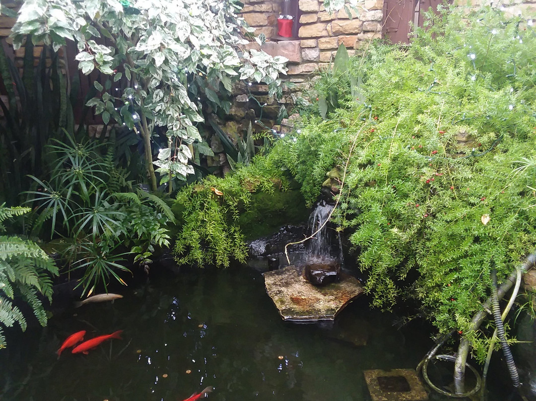 Vander Veer Botanical Park-达文波特必去景点