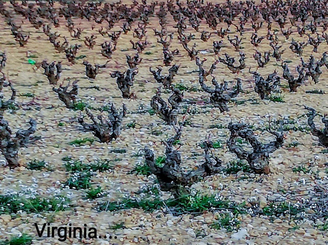 Hotel Raimblanc主图