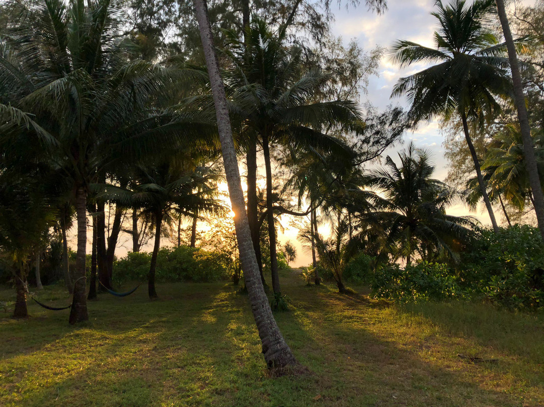 金佛海滩度假村主图