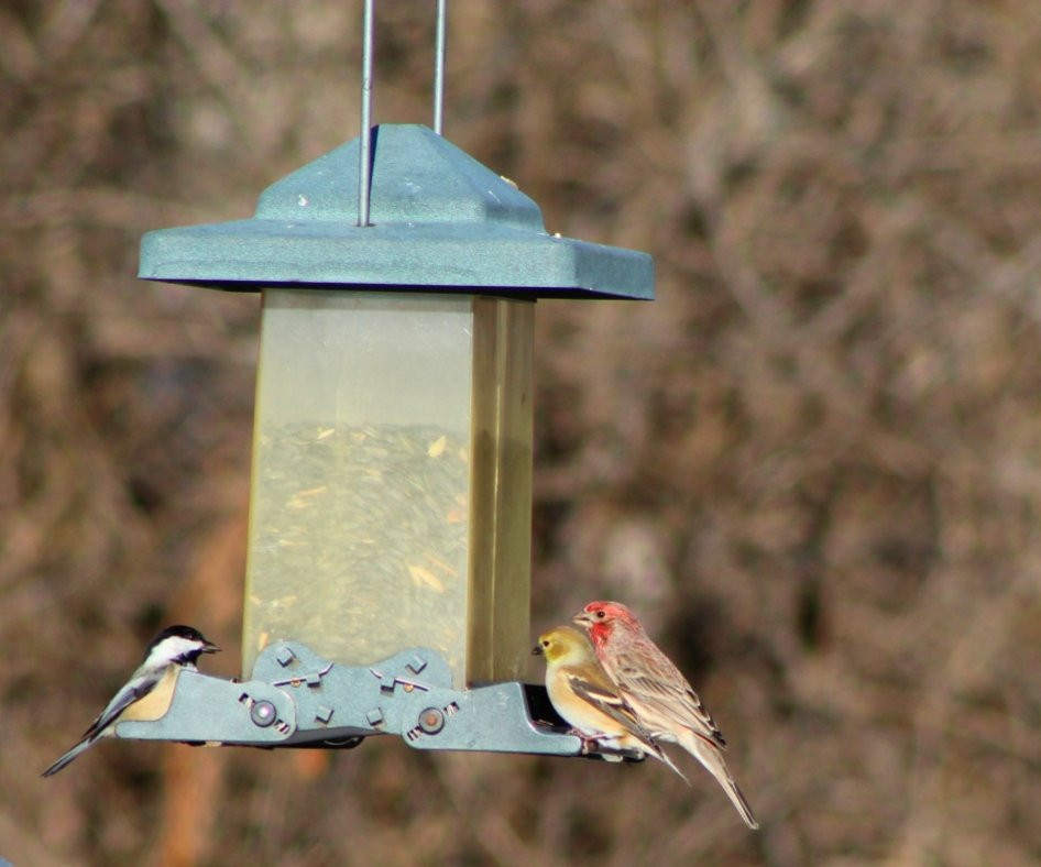 Moraine Hills State Park-McHenry必去景点
