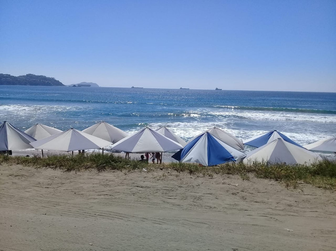 Playa de Oro-曼萨尼约必去景点