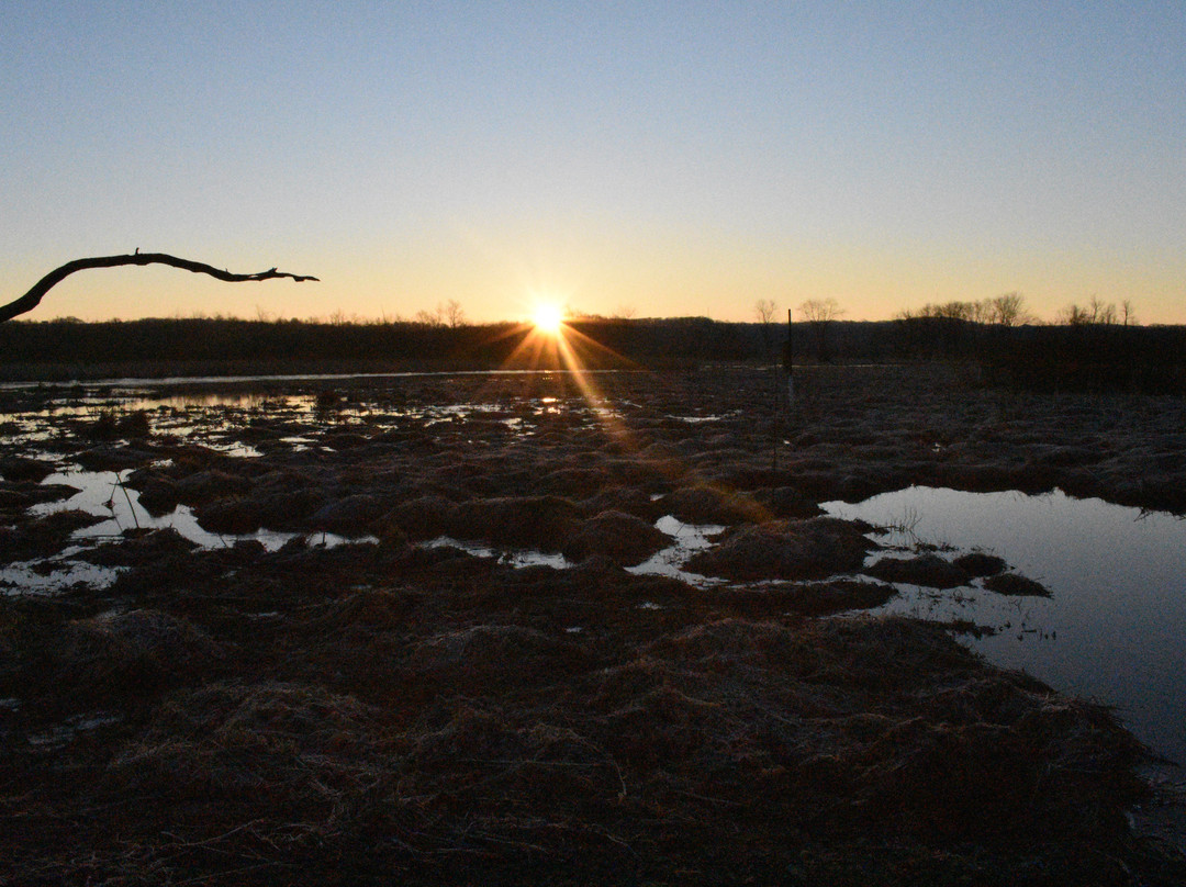 Killbuck Marsh Wildlife Area-Wooster必去景点