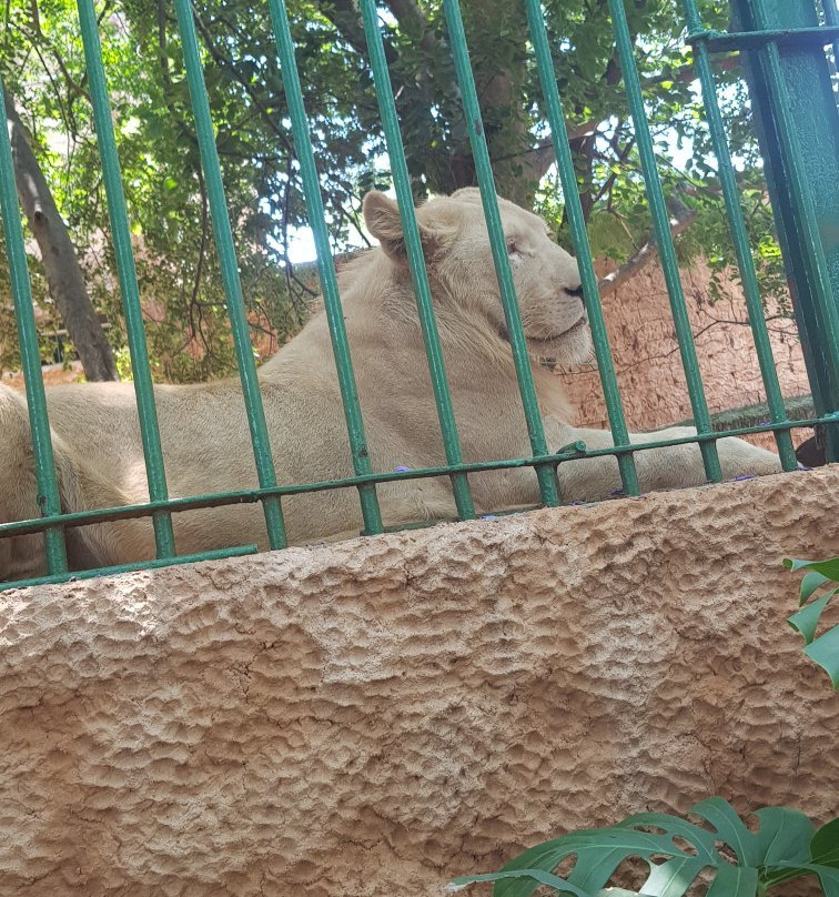 Hartbeespoort Dam - Snake and Animal Park-哈特比斯普特必去景点