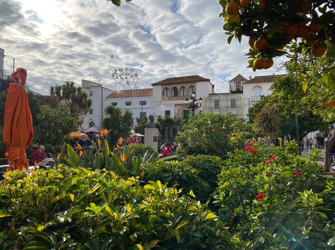 Plaza de Los Naranjos景点图片