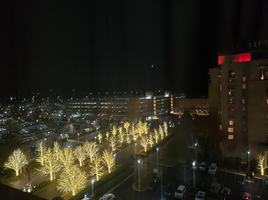 亚历山德里亚区纳什纳尔哈勃尔希尔顿恒庭旅馆&套房酒店主图