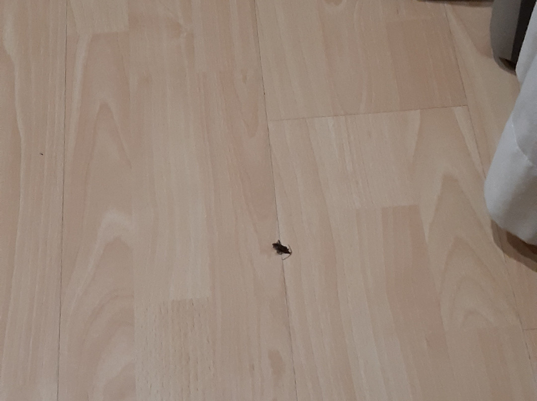 Hotel Iriguibel主图