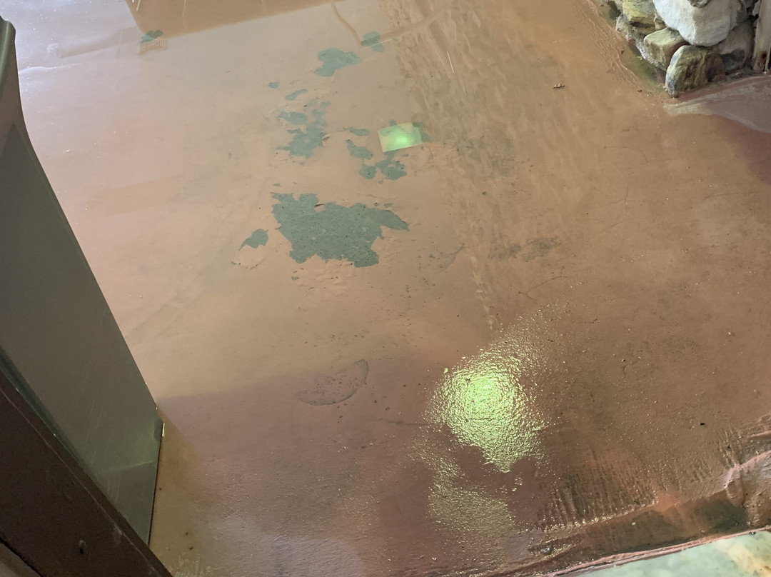 Mountain Laurel Resort主图