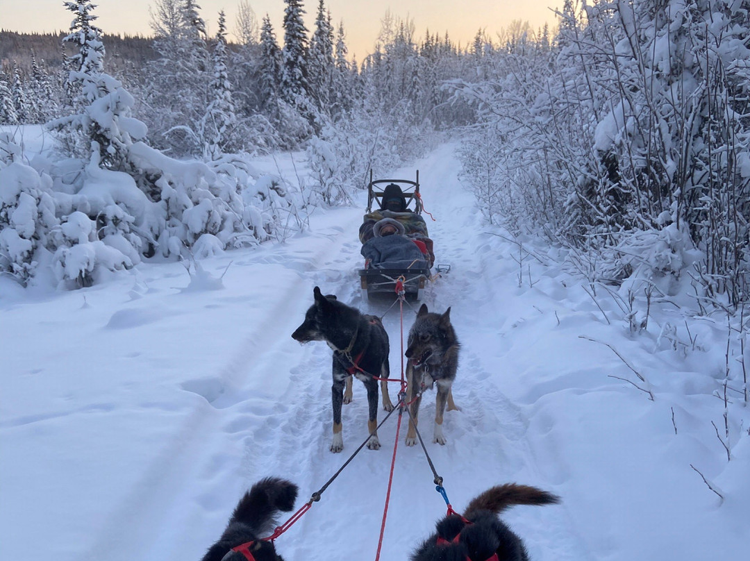 Friendly Arctic Adventures景点图片