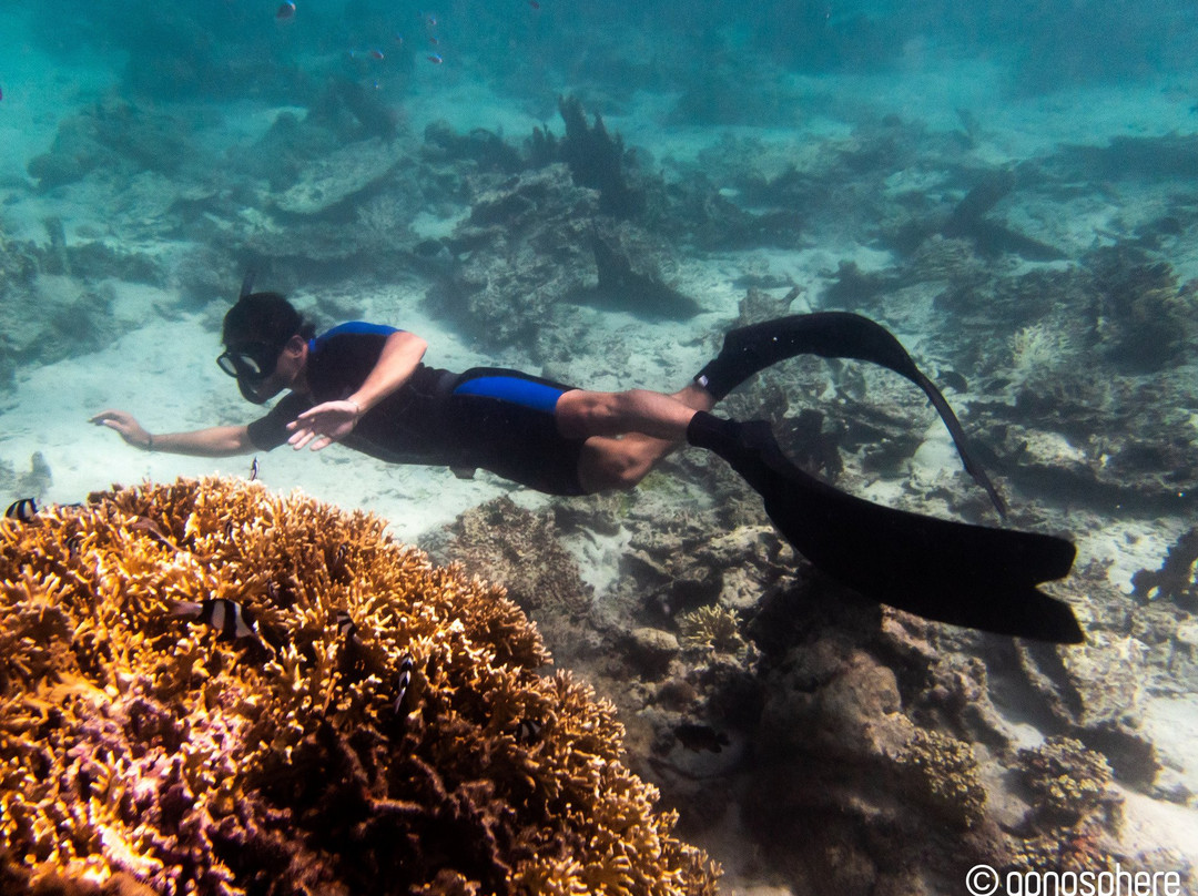 Apnosphere Freediving Mauritius-蓝湾必去景点