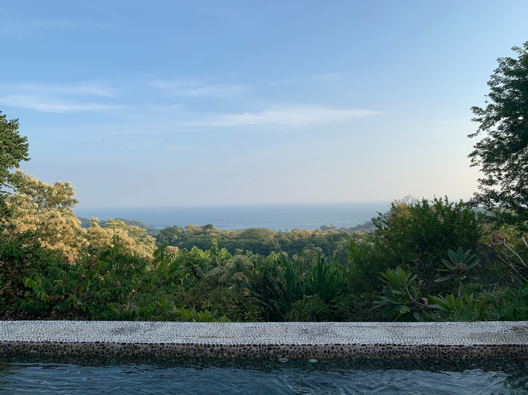 Las Almas Petit Hotel主图