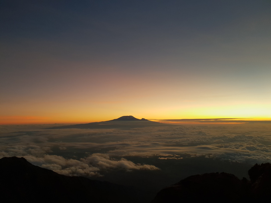 Alligator Trekking and Safaris-阿鲁沙必去景点