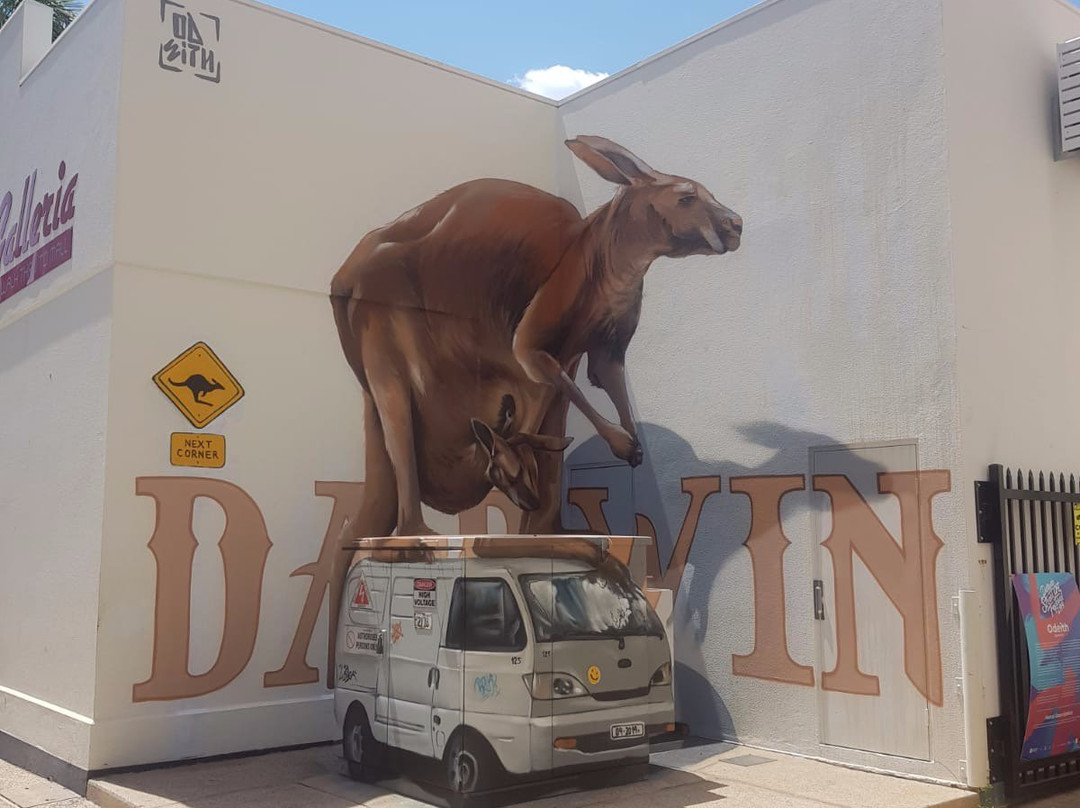 Darwin Street Art Festival-达尔文市必去景点