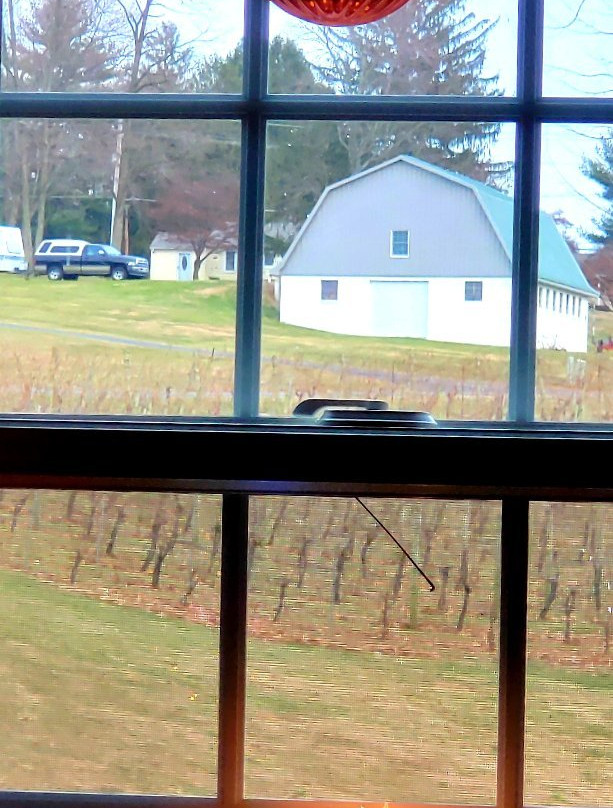 Harford Vineyard and Winery-Forest Hill必去景点