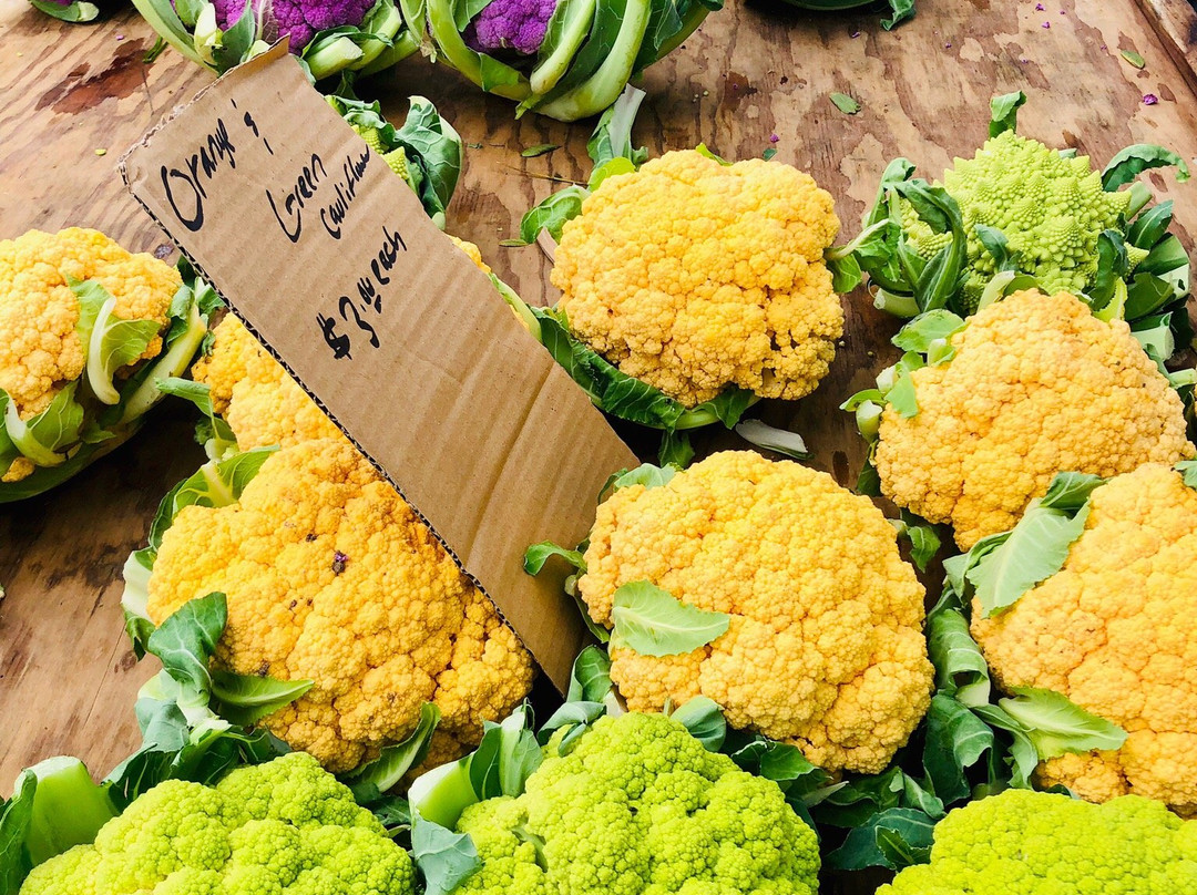 Santa Barbara Certified Farmers Market-圣巴巴拉必去景点