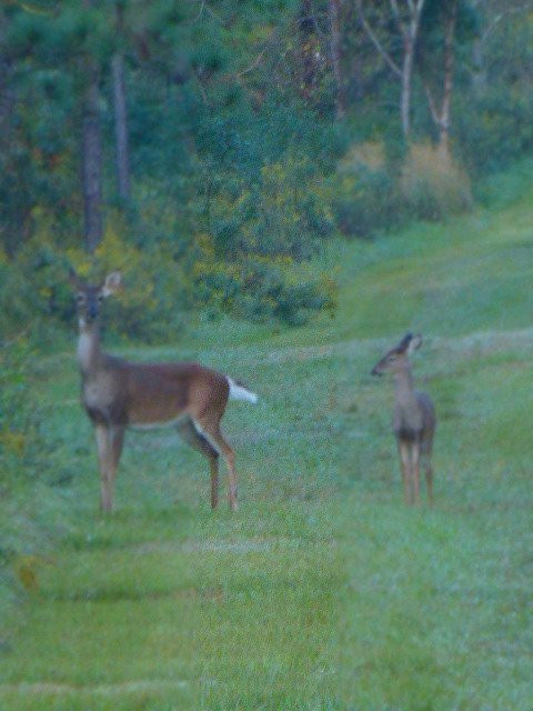 JR Alford Greenway Trail-塔拉哈西必去景点