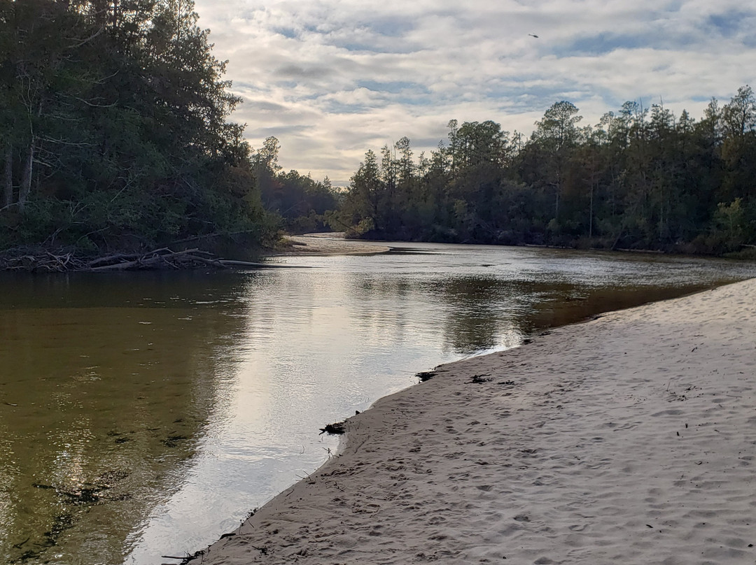 Blackwater River State Park景点图片