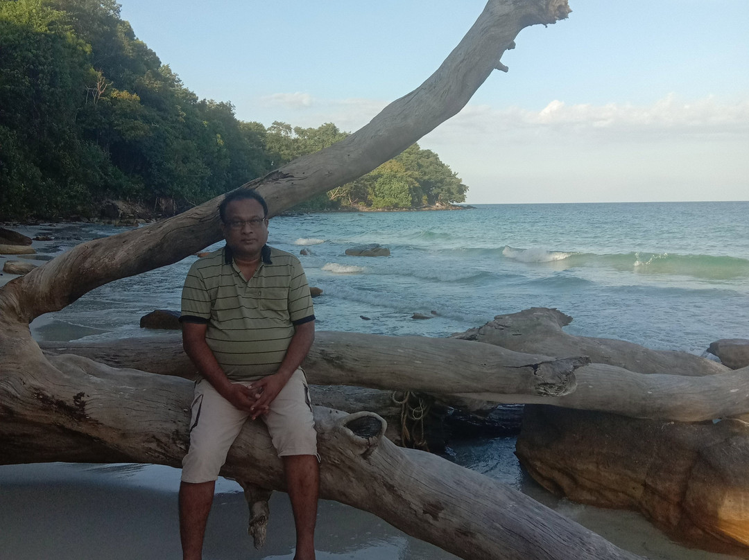 椰子海滩别墅主图