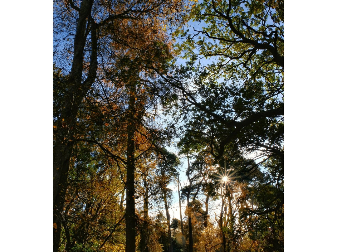 Sheringham Park-Sheringham必去景点