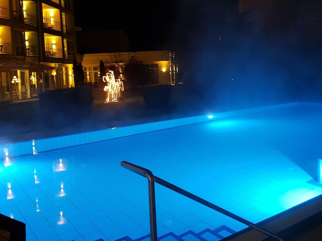Parkhotel Bad Schallerbach主图