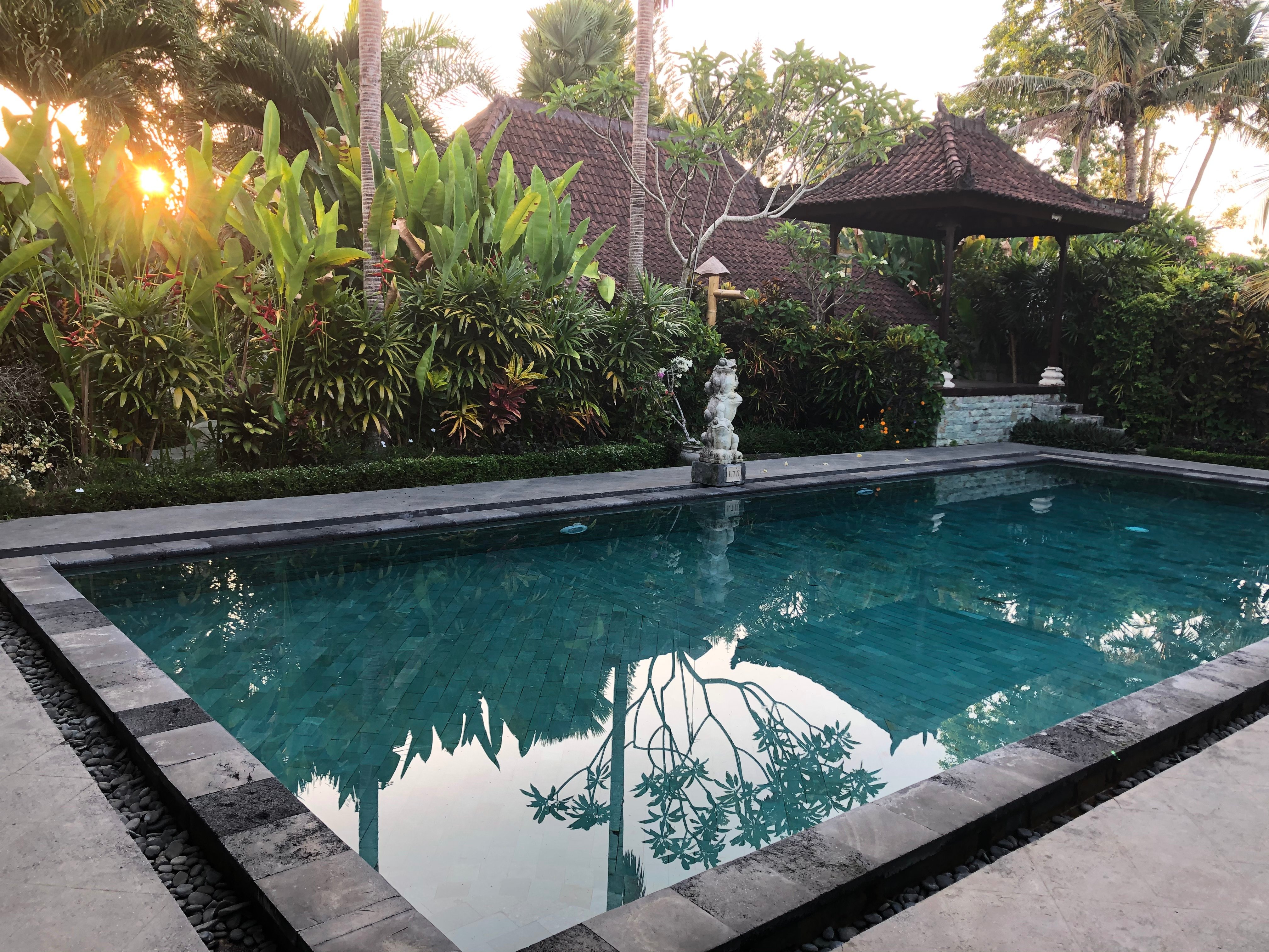 Bali Dream Resort & Spa, Ubud-泳池