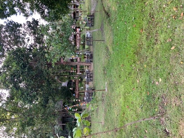 Koh Yao Yai Village-阁耀亚伊岛必去景点