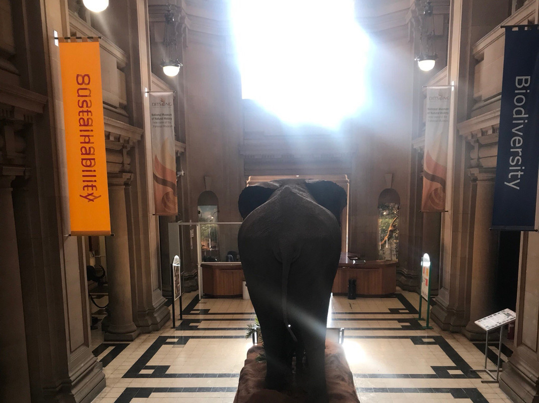 Museum of Natural History-比勒陀利亚必去景点