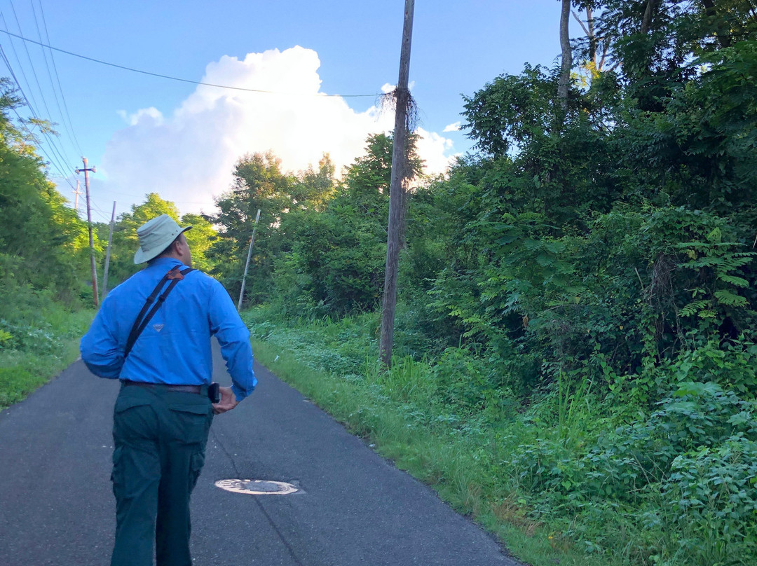 Gabriel Lugo Birding Tour Guide-巴塞罗那塔必去景点