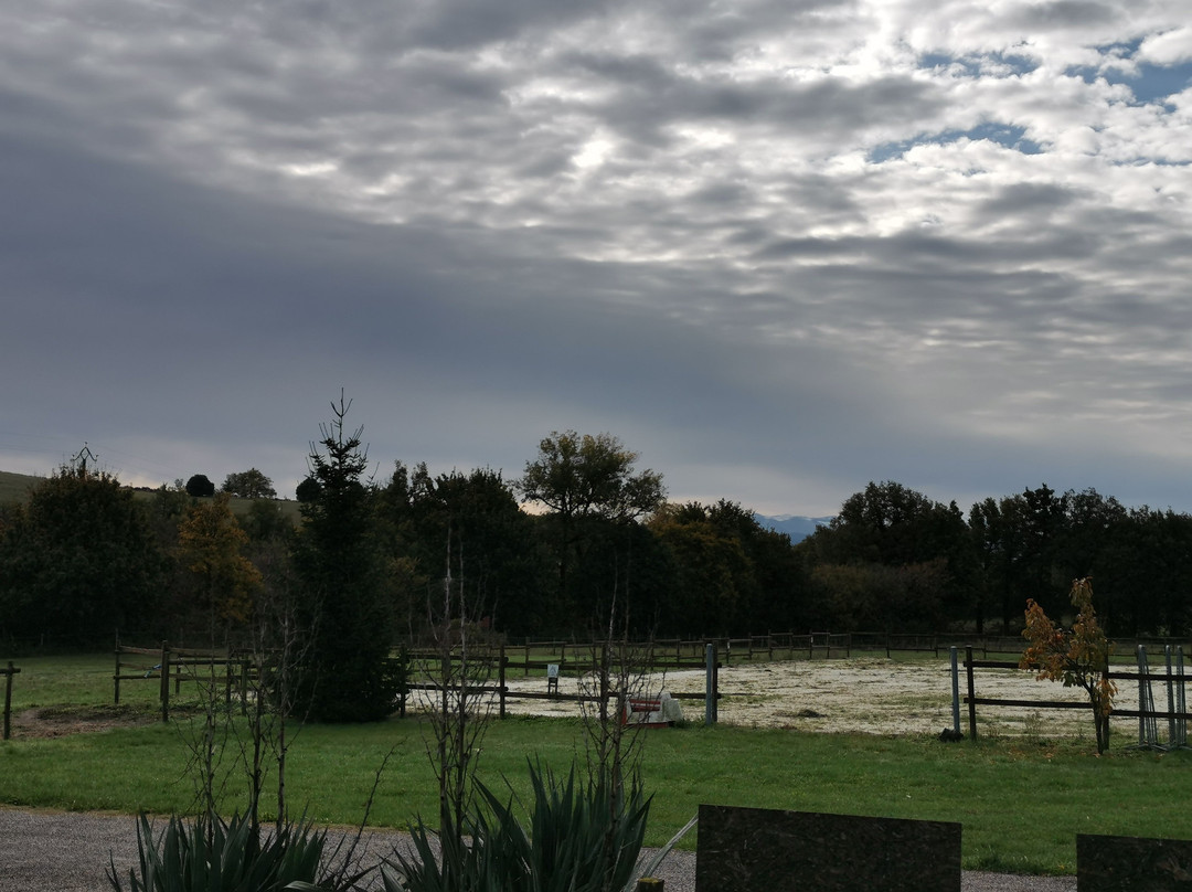 Gites et Roulottes au Domaine de la Trille主图