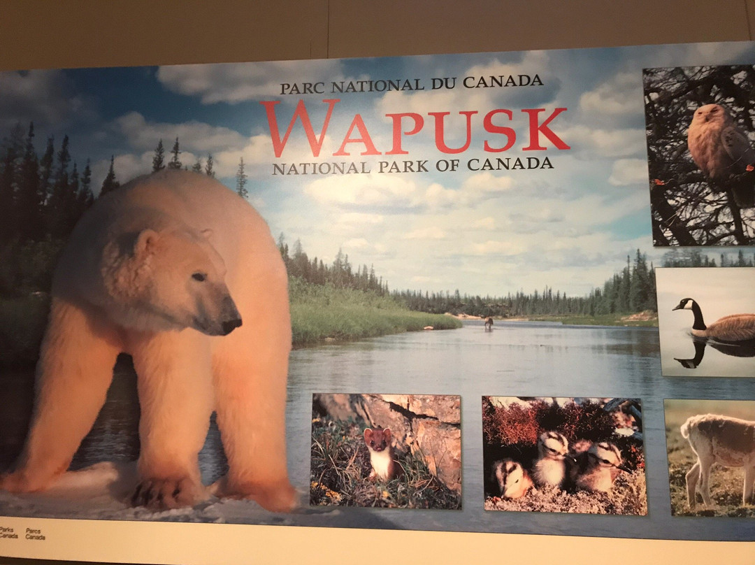 Parks Canada Visitors Centre-丘吉尔必去景点