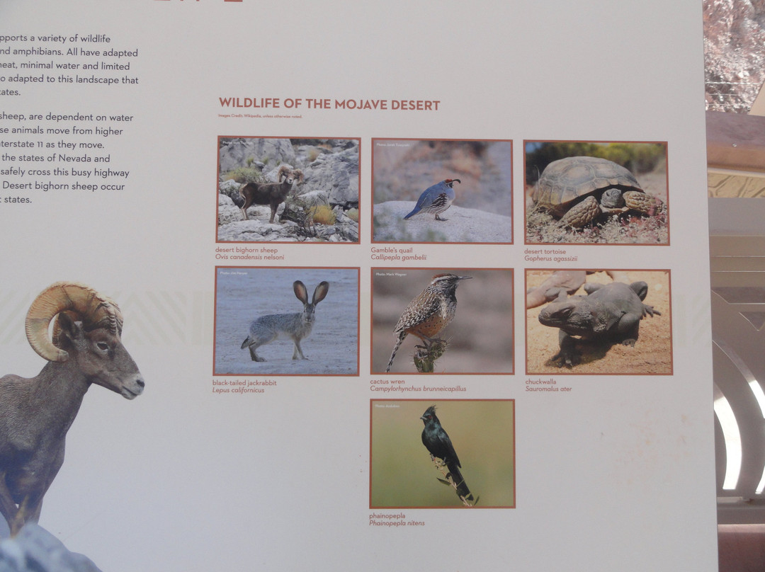 Robert L Mendenhall Scenic Overlook-博尔德城必去景点