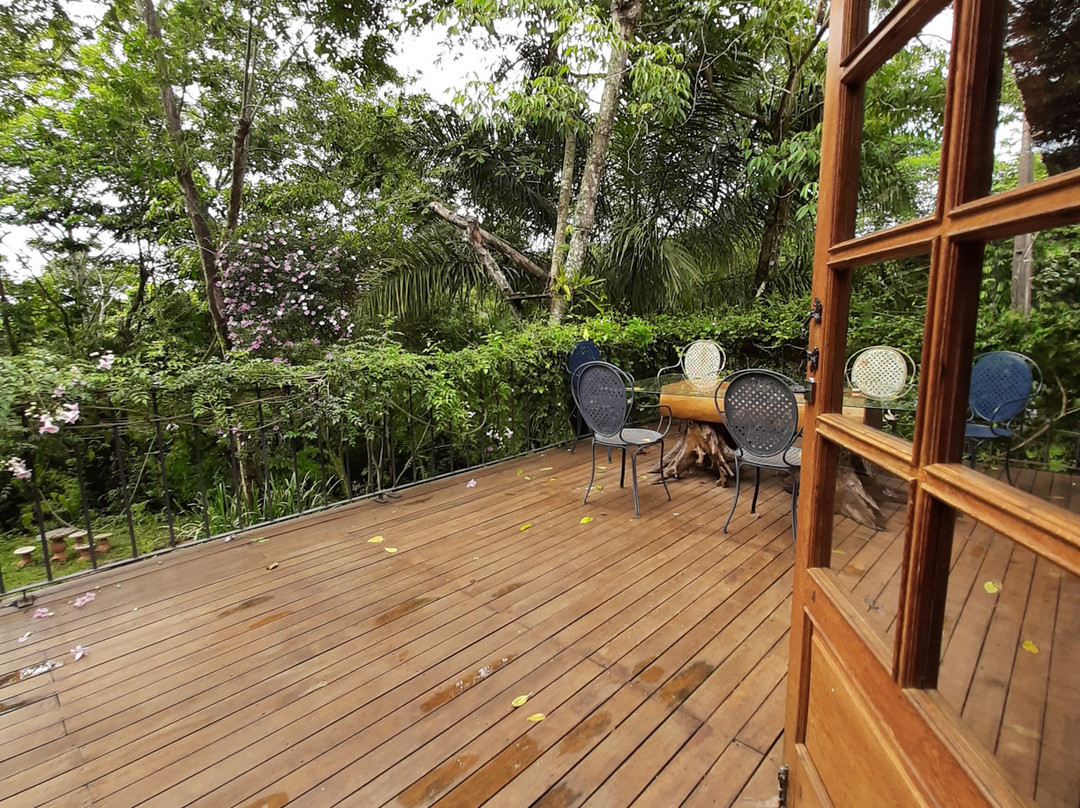 Bosque da Neblina主图