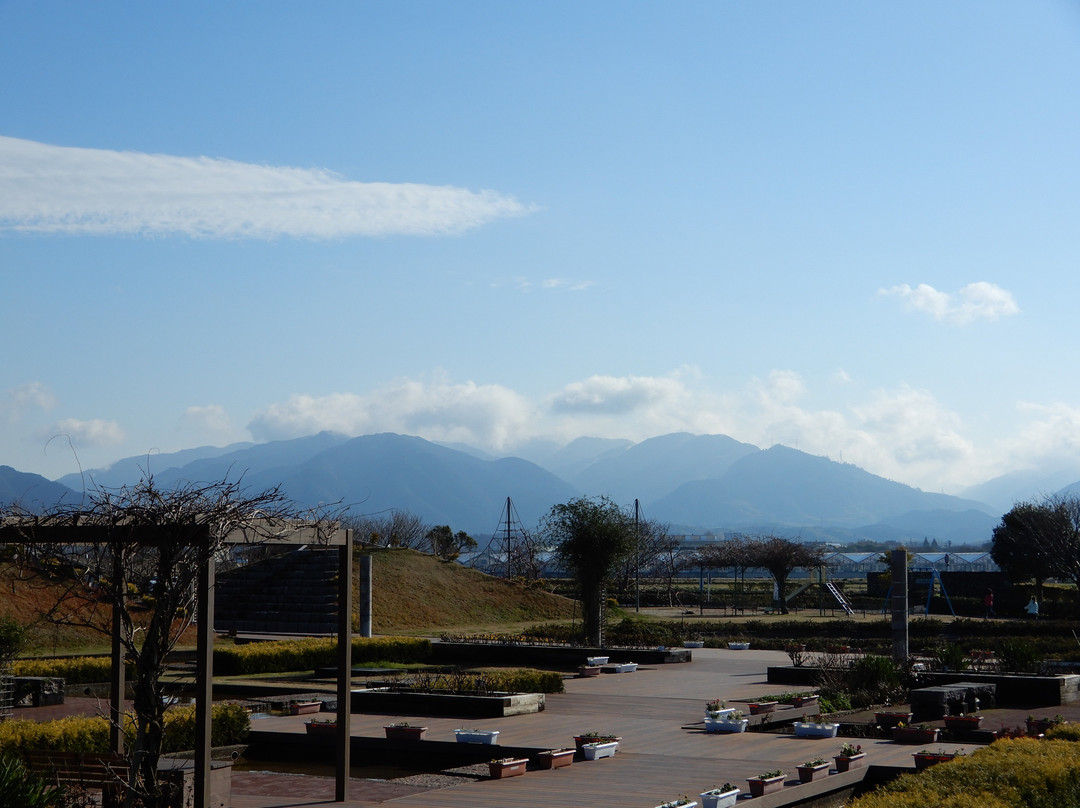 Izumi City Crane Museum, Crane Park Izumi-出水市必去景点