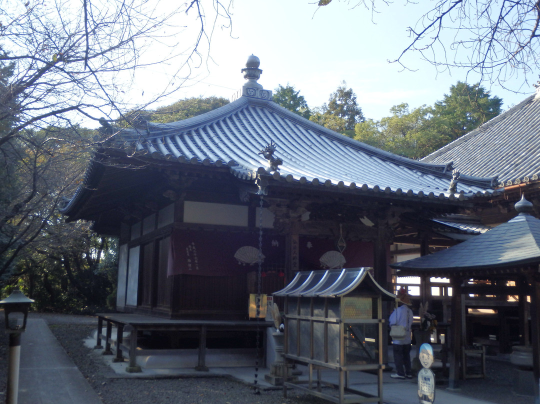 Daikoji Temple景点图片