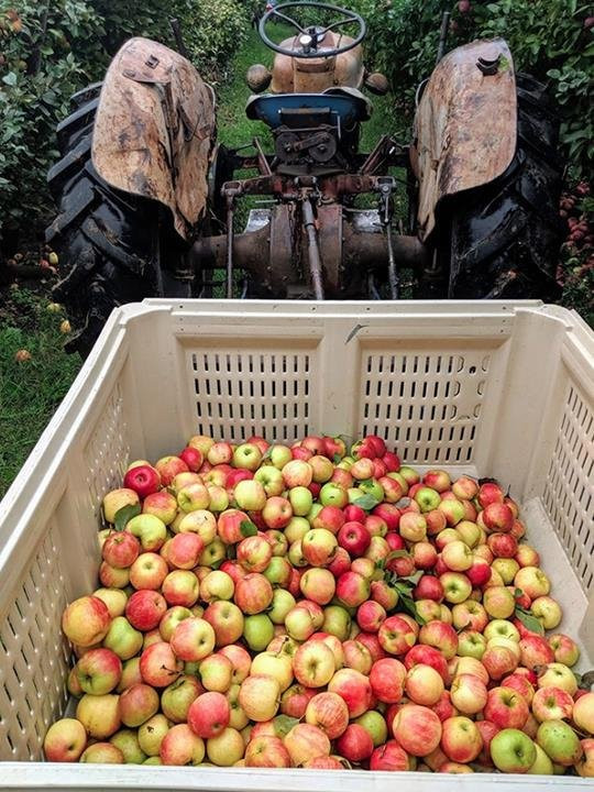 Ten Eyck Orchard-Brodhead必去景点